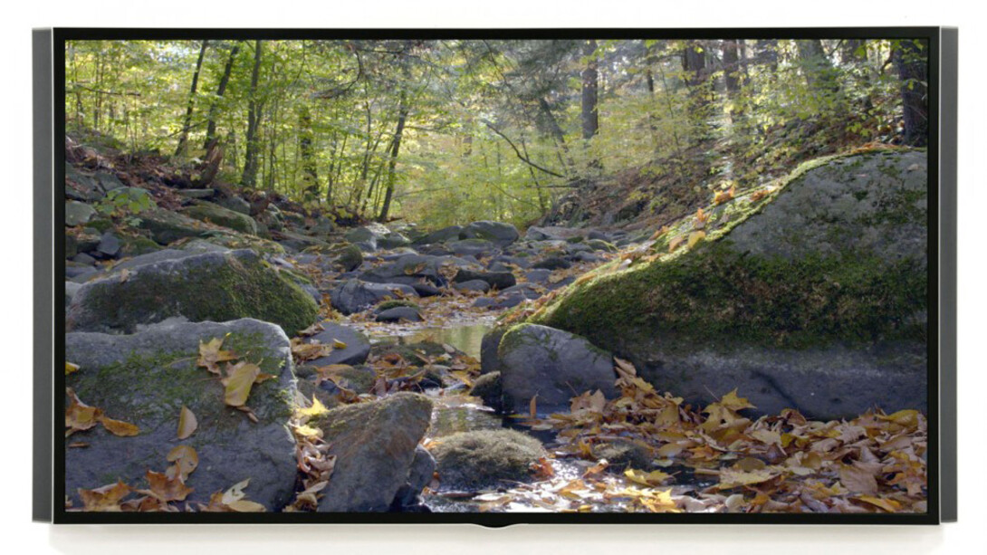 Natural Wonders. Courtesy of Brandywine River Museum of Art