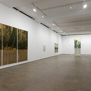Ana González, Río, exhibition view. Courtesy of Sean Kelly Gallery