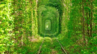Espaço cercado na natureza