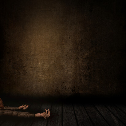 ¿Ante quiénes me jactaría por algunos laureles de cabotaje?