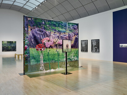 Pao Houa Her, The imaginative landscape, exhibition view. Courtesy of San José Museum of Art