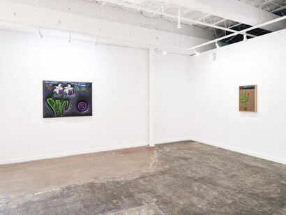 Erick Medel, Soft threads, exhibition view. Courtesy of Martha's Contemporary