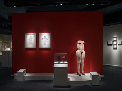 Known, Unknown, Exhibition view. Courtesy of Museum of Sex