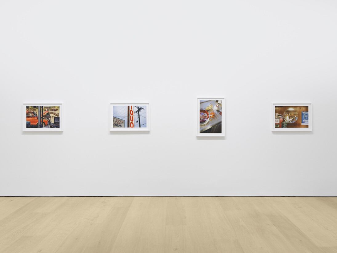 William Eggleston The Democratic Forest, Exhibition view. Courtesy of David Zwirner