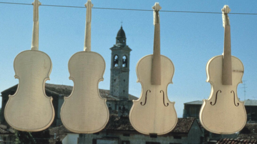 Proceso de fabricación del violín en la ciudad italiana de Cremona
