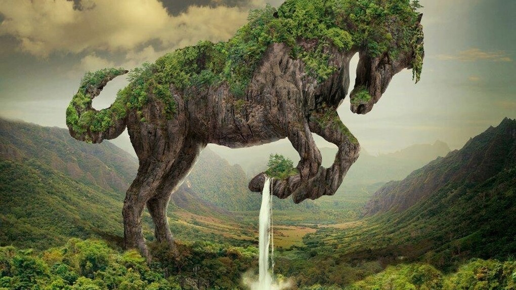 Un caballo y un árbol