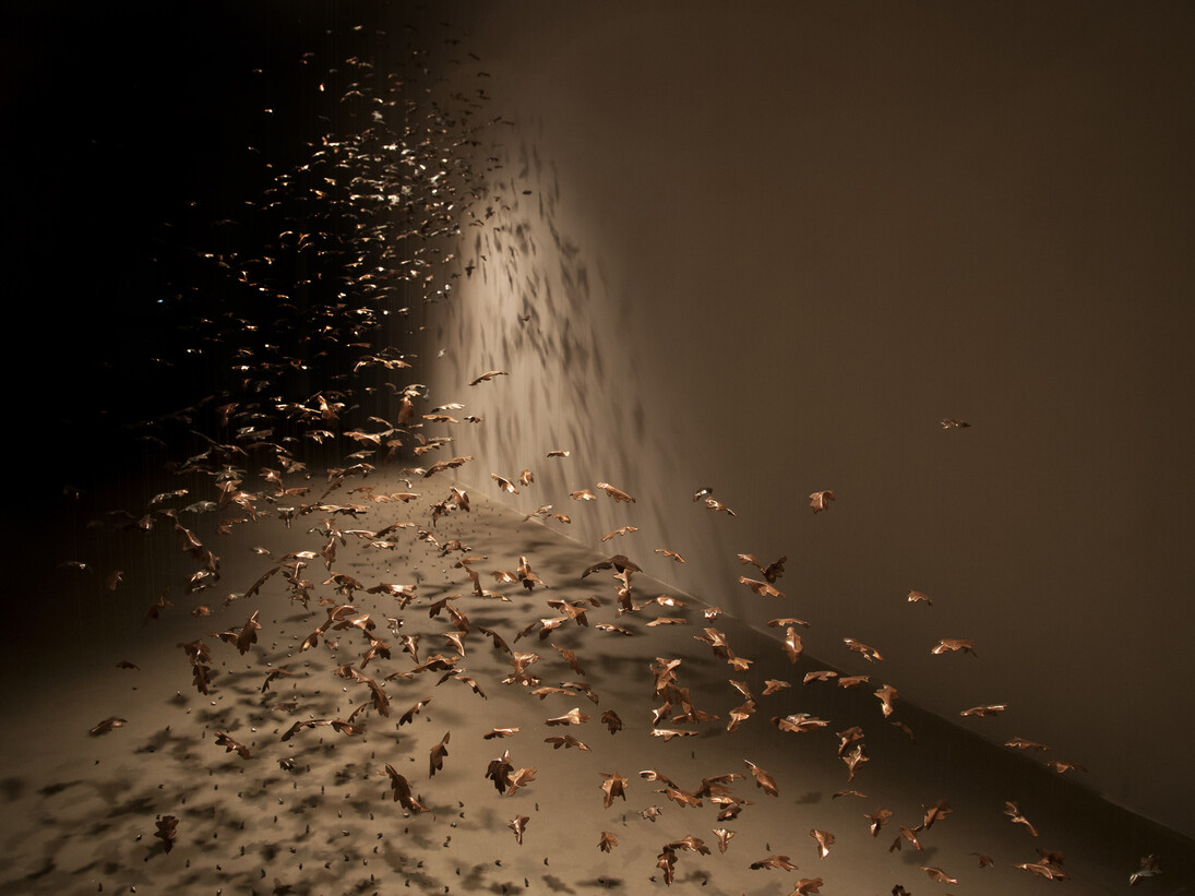 Federico Gori, Come afferrare il vento, 2015, incisioni e ossidazioni naturali su rame, lenza, acciao, piombo, dimensioni ambientali, veduta dell’installazione, Palazzo Fabroni, Arti Visive Contemporanee, Pistoia 