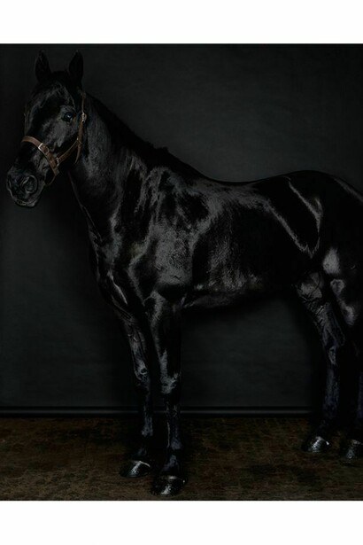 Sarah Jones, Horse (profile) (black) (II/I), 2014, C Print, 59 7/8 x 48 inches (framed) (152.1 x 121.9 cm). Courtesy Anton Kern Gallery, New York
