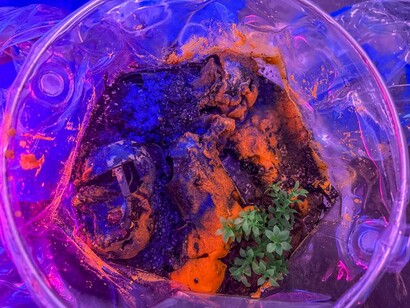 Kerem Ozan Bayraktar, Spirits on the ground, exhibition view. Courtesy of Sanatorium