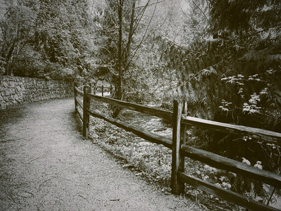 A scenic trail by Still Creek, reflecting moments of solitude in nature
