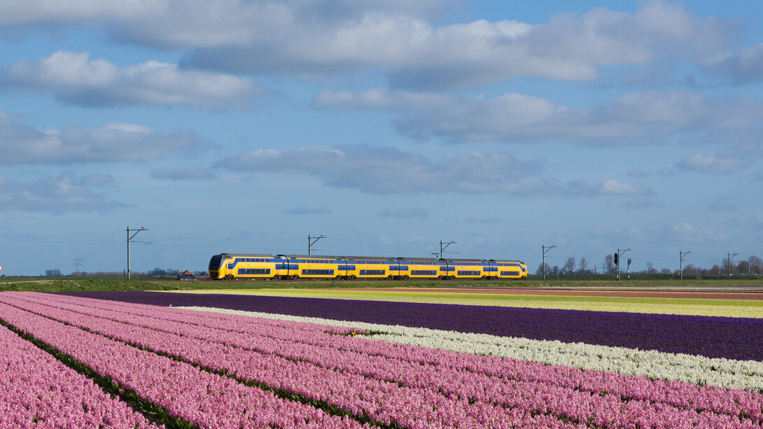 Cada experiencia en el camino de lo desconocido deja su huella, 2015. Un tren interurbano de Ámsterdam a Den Helder pasa por un campo en plena floración cerca de Schagen, Holanda