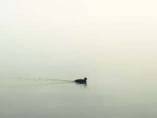 Crescita spirituale 