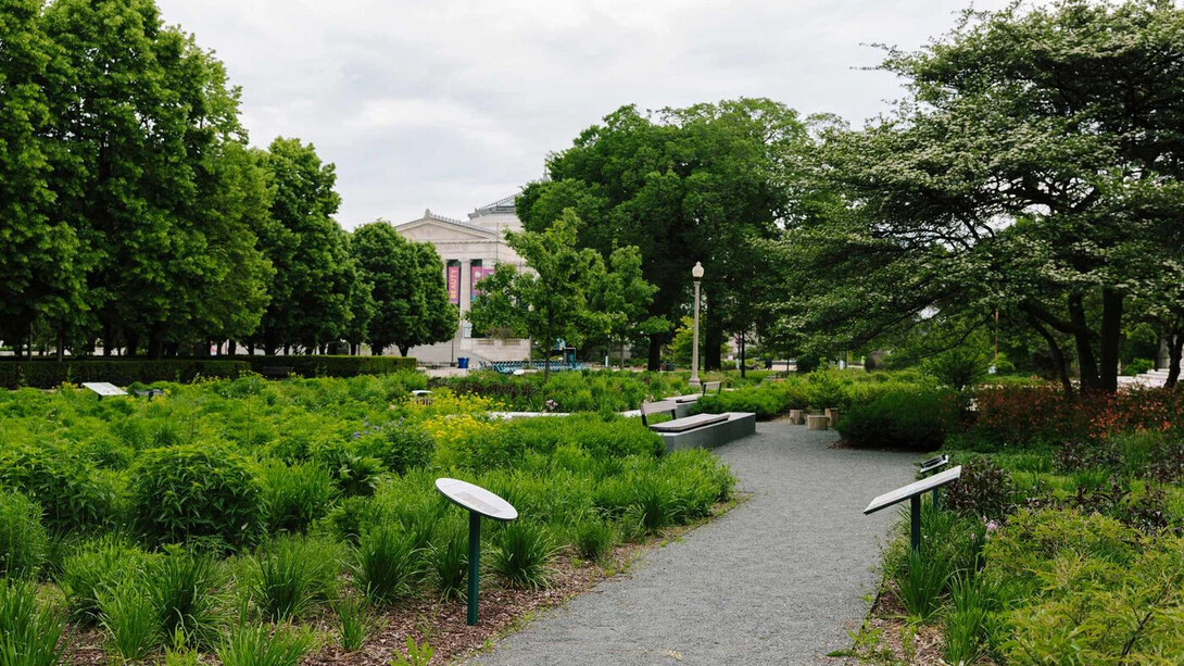 Rice native gardens, exhibition view. Courtesy of Field Museum