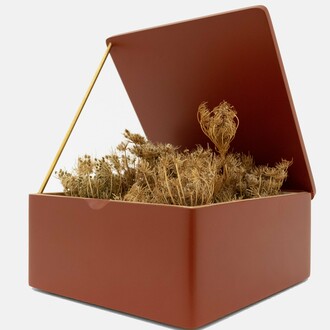 Cynthia Mulcahy,
Abortion,
Tea Caddy III, 2023,
Queen Anne’s Lace/Daucus carota, wood, enamel lacquer, brass rod,
6 1/2 x 6 1/4 x 7 1/2 in.,
16.5 x 15.9 x 19.1 cm. Courtesy of the artist and VSF
