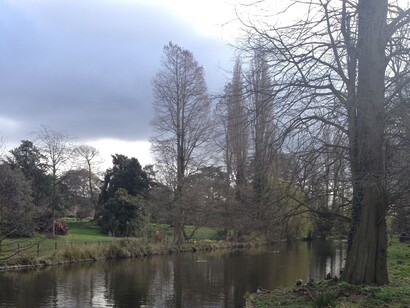 Chiswick, the Thames River.