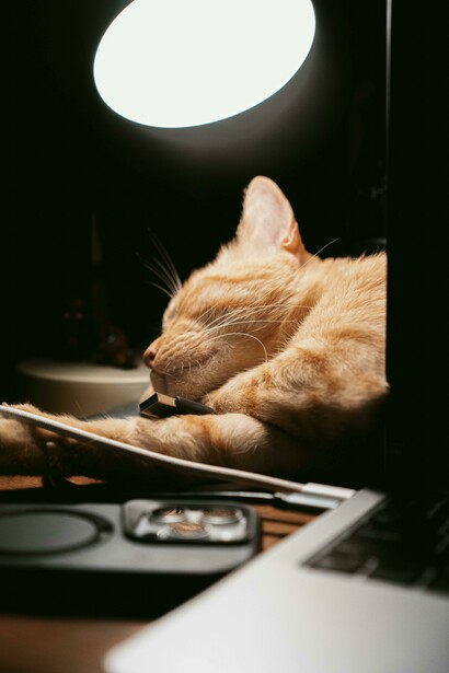 A sleeping ginger cat curled up beside a laptop and gadgets, highlighted by warm lighting in a tranquil workspace