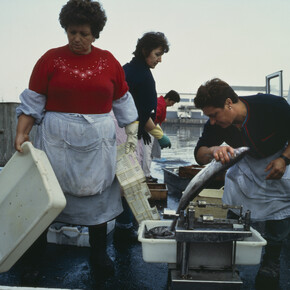 Allan SekulaMessage in a Bottle, chapter 5, Fish Story, 1992-1994 Thyssen-Bornemisza Art Contemporary Collection Photo: The Estate of Allan Sekula. Courtesy of TBA21
