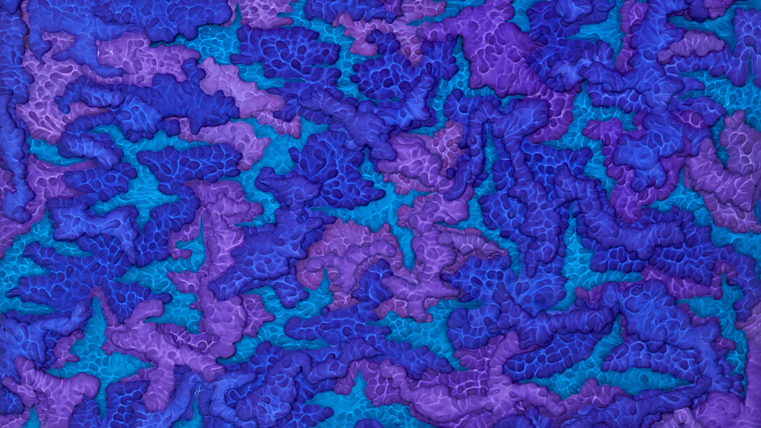 The title of Perucchetti's collection was inspired by the work of Italian painter Enrico Castellani