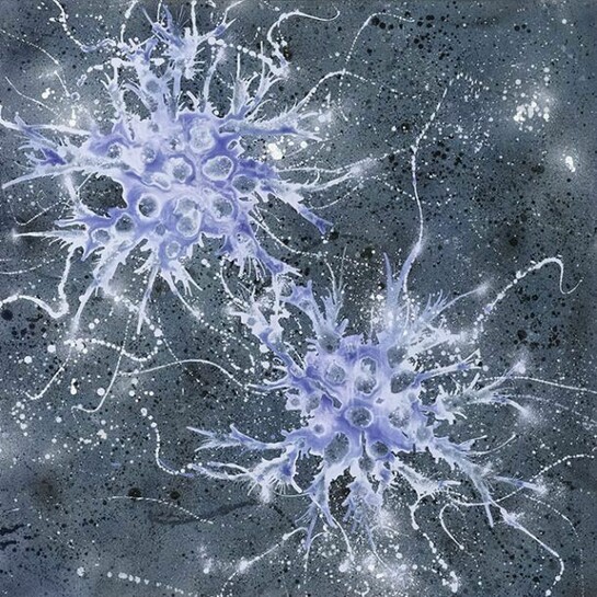 Campi magnetici, 2013, Acrylic on canvas, 31 1/2 x 31 1/2 inches , 80 x 80 cm © 2014 Alberto Di Fabio. Courtesy Gagosian Gallery