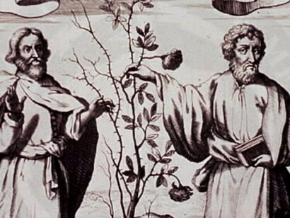 Ippocrate e Galeno