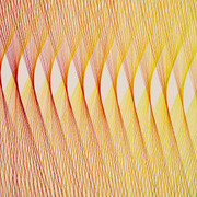 Gabriel Dawe. Courtesy of Amon Carter Museum of American Art