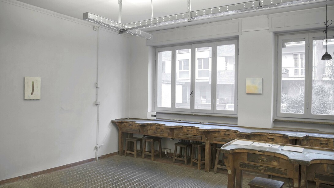 Jacana’s frontal shield or frontal as shields are frontal. Courtesy of The Workbench