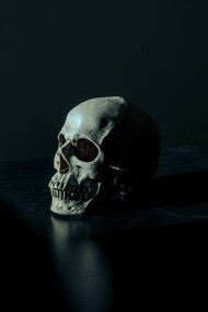 The Web of Telepathy