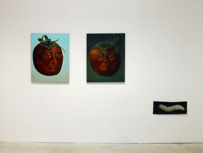 Aura Roig, The worms are starting to move [Los gusanos están empezando a moverse], vista de exhibición. Corteía de Prats Nogueras Blanchard