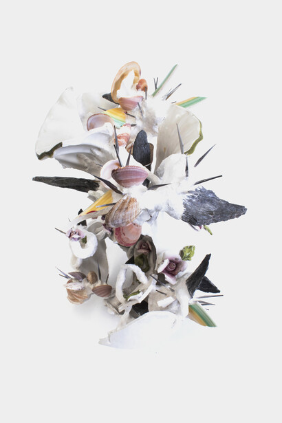 Camilla Alberti, Unbinding Creatures, Organismo 8, 2020