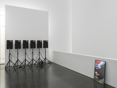 In the Open or in Stealth. Courtesy of Museu d’Art Contemporani de Barcelona (MACBA)