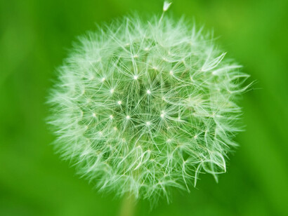 La tenerezza è un tappeto morbido di emozioni 