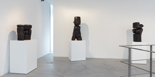 Simplicité - Nature - Sensualité. Courtesy of Galerie Nathalie Obadia