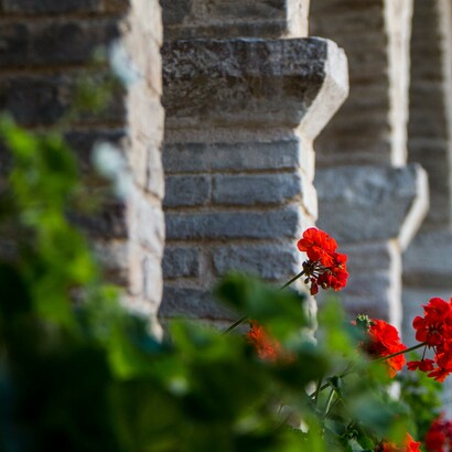 Spirit and Earth united in the Heart

