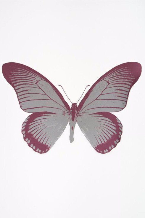 Damien Hirst. Courtesy of Samuel Owen Gallery