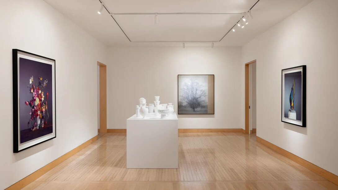 Richard Learoyd, exhibition view. Courtesy of Fraenkel Gallery