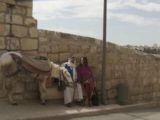 Katarzyna Kozyra. Looking for Jesus, 2013-14