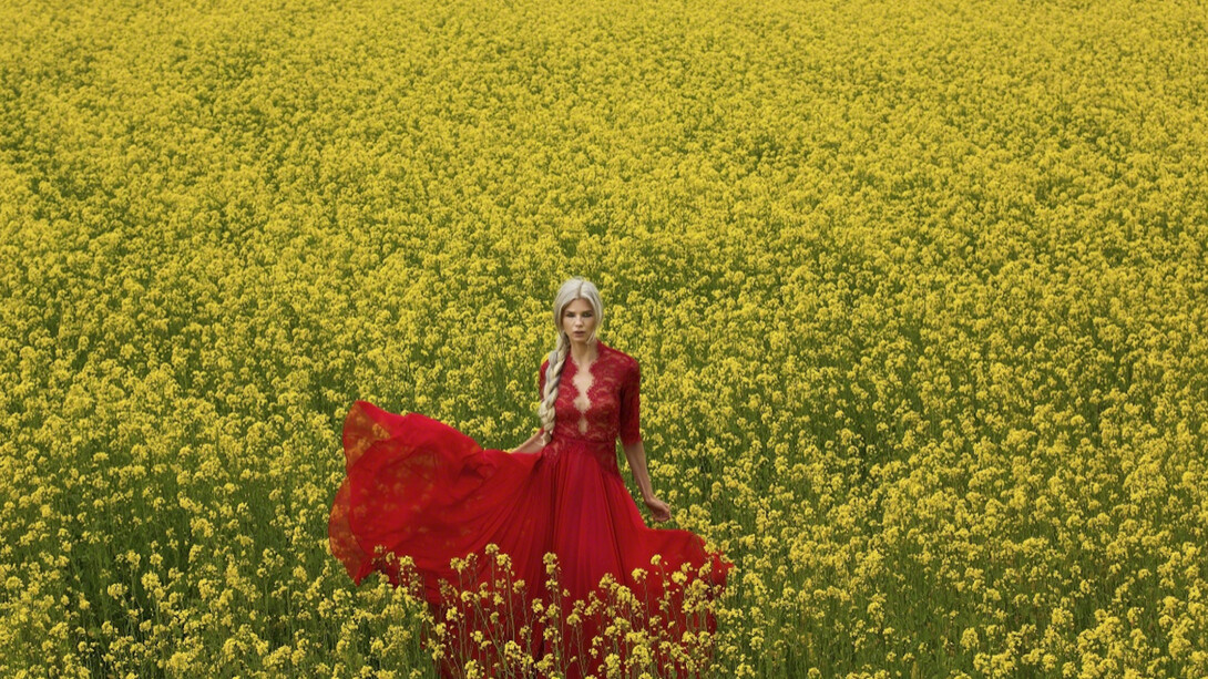 Keziban Barry, Rapeseed Stil, 2016. Courtesy of Blank Space 