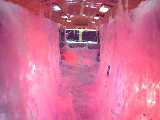 Fotografía del Siglo XX en México. Courtesy of Museo de Arte Moderno