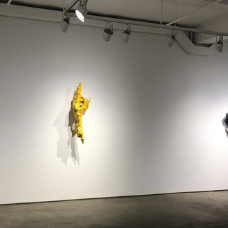 James Biederman. Courtesy of Elizabeth Harris Gallery