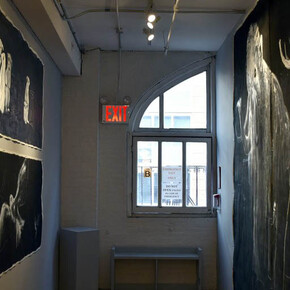 On the Wall: Vija Doks. Courtesy of Carter Burden Gallery