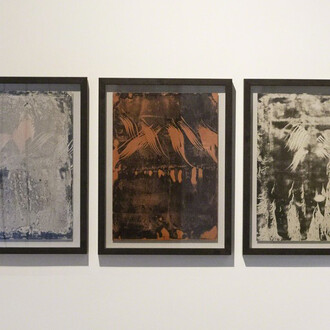 Nature Paintings. Courtesy of Puerta Roja