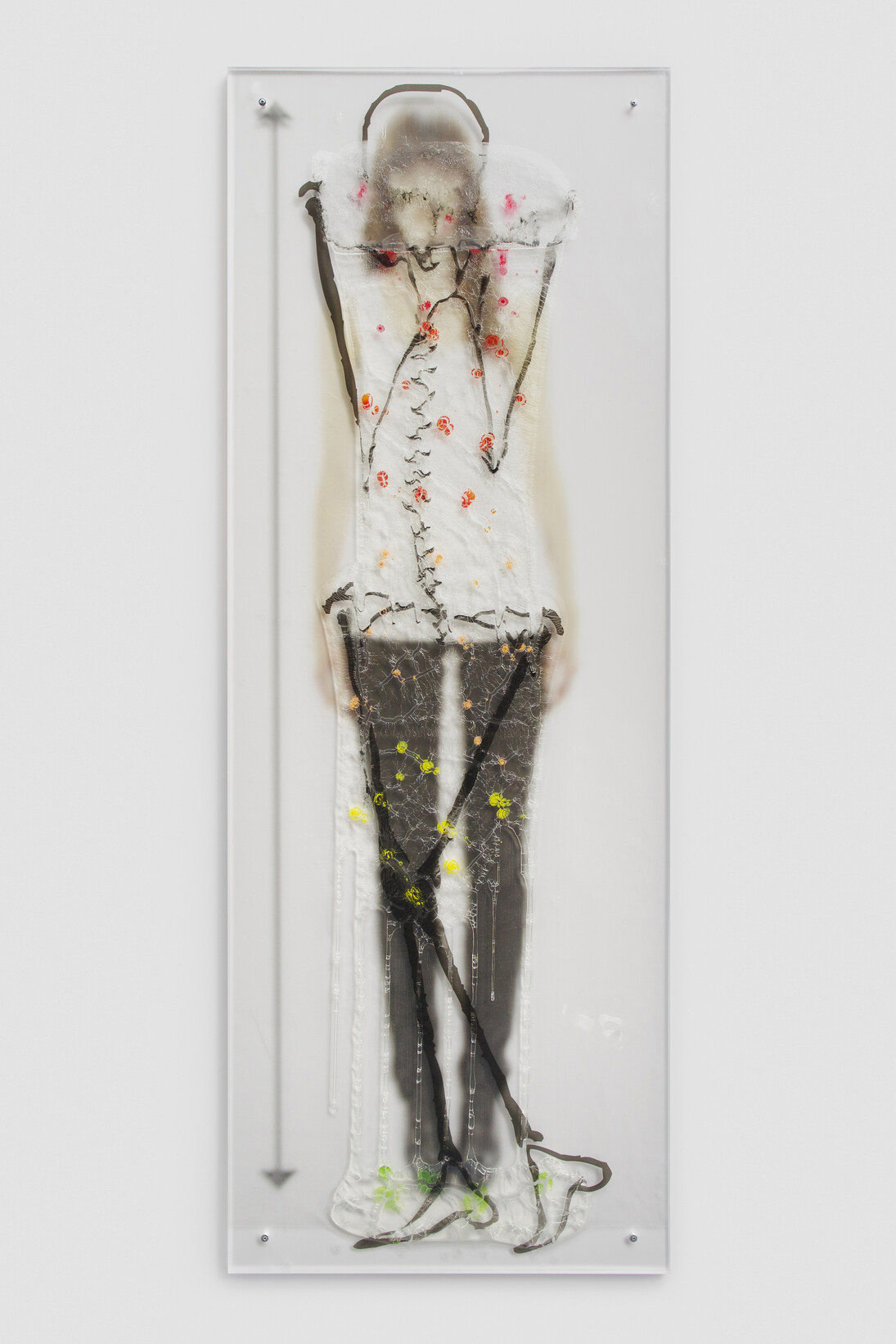 Sara Greenberger Rafferty, Untitled, 2014, acrylic polymer and inkjet prints on acetate on Plexiglas, and hardware, Irregular: 64 3/4 x 23 3/4 x 1/2 inches (164.5 x 60.3 x 1.3 cm)
