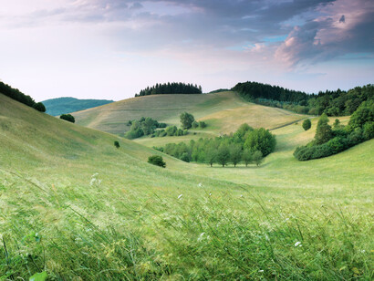 Pradera en tranquilidad