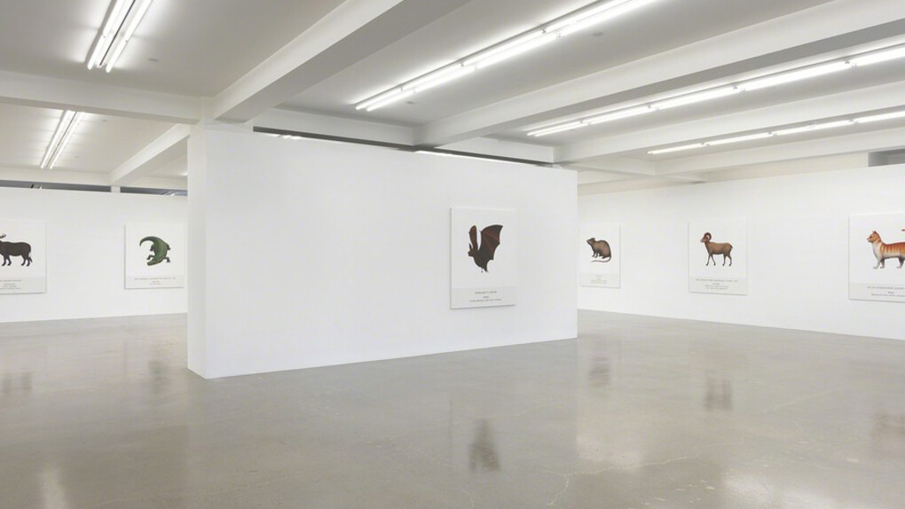 John Baldessari. Courtesy of Sprüth Magers