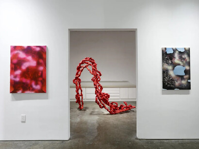 Various artists, The second body, exhibition view. Courtesy of Johnson Lowe Gallery