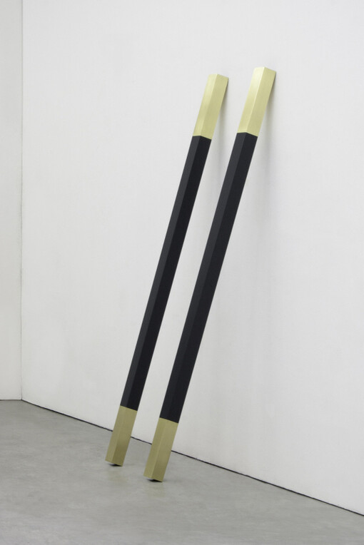 Davide Allieri,
Attraction (The Distance Between Us), 2013,
Painted wood, brass, glass,
200 cm  