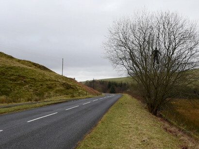 Andy Goldsworthy. Courtesy of Haines Gallery