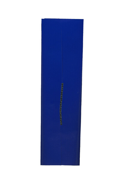 Elena Narbutaitė. Courtesy of Carré d’Art