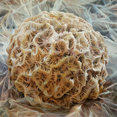 Andrea Kantrowitz, Metis, 30 x 30 inches, oil on canvas, 2020