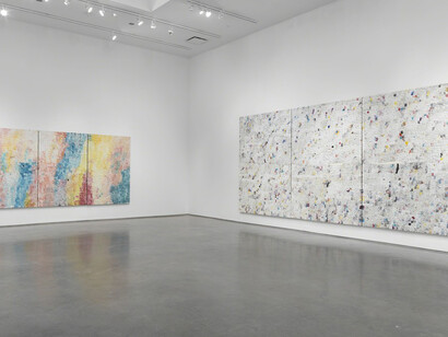 Dashiell Manley. Courtesy of Marianne Boesky Gallery
